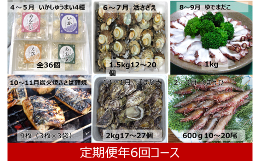 画像中の皿などは返礼品に含まれておりません。