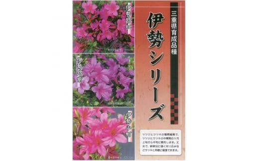 アイテムID:463917の画像4枚目