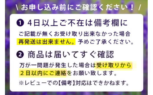 北海道中富良野町のふるさと納税 【2025年発送】ふらの赤肉メロン　1玉（XLサイズ）