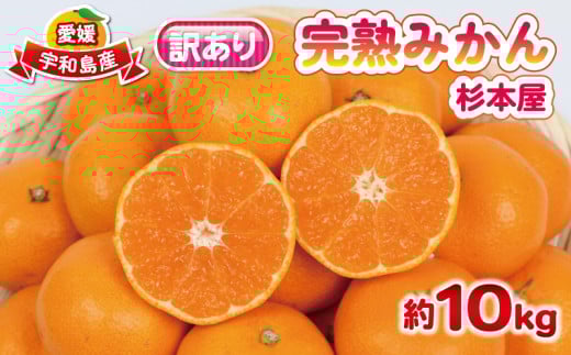 完熟みかん 訳あり 完熟 みかん 早生みかん 10kg 杉本屋 先行予約 完熟 温州みかん みかん ミカン mikan 早生 温州 蜜柑 みかん 果物 くだもの フルーツ 愛媛みかん 愛媛ミカン 愛媛蜜柑 宇和島みかん 訳アリ 柑橘 産地直送 数量限定 国産 愛媛 宇和島 B018-143019 2134617 - 愛媛県宇和島市