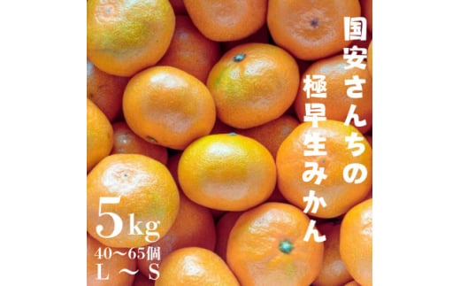 ＜創業85年 親子4代 愛媛みかん 一筋＞愛媛八幡浜産 極早生みかん 5kg＜C20-43＞【1594908】 2053112 - 愛媛県八幡浜市