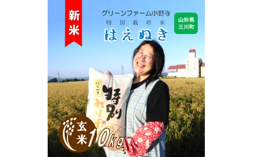 【令和7年産】《無洗米》グリーンファーム小野寺の特別栽培米はえぬき10kg　※10月中旬頃から順次配送予定