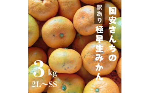 ＜創業85年 親子4代 愛媛みかん 一筋＞愛媛八幡浜産 訳あり 極早生みかん 3kg＜A20-45＞【1594912】 2053114 - 愛媛県八幡浜市