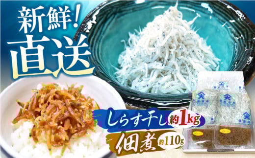 しらす干し（約1kg）と佃煮（約110g）セット/森国商店 浜で瞬時に釜出し 高知のしらす【グレイジア株式会社】 [ATAC486]