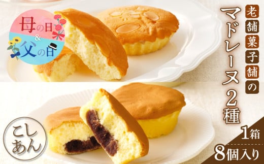 【発送時期が選べる】老舗菓子舗のマドレーヌ2種セット(合計8個) 焼き菓子 スイーツ 詰め合わせ 洋菓子_T035-0051