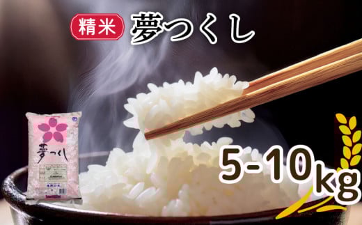 [選べる]令和6年福岡県産夢つくし精米 5kg/5kg×2 米 お米 白米 ご飯 飯 防災 備蓄 防災 5kg 10kg コメ メシ 朝食 夕ご飯 お弁当 おにぎり 長期保存 福岡県産米 福岡 川崎町
