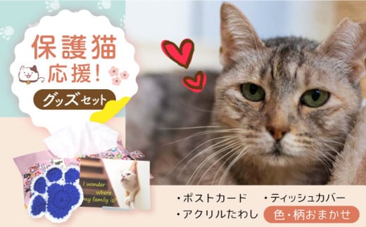 【保護猫応援!】グッズ3点セット ティッシュカバー・オリジナルポストカード・手作りアクリルたわし 猫 ねこ ネコ 保護 支援 動物愛護 大阪府高槻市/高槻ねこの会・ねこのおうち[AOBR009] 751750 - 大阪府高槻市