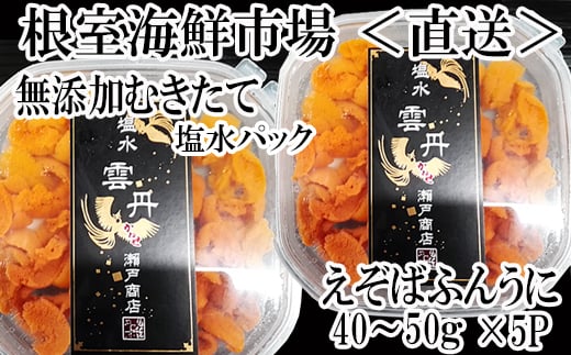 B-11093 無添加むきたてエゾバフンウニ(赤系)塩水パック40~50g×5P 1041829 - 北海道根室市