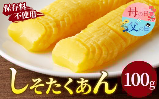 【発送時期が選べる】＼ポスト投函／しそたくあん100g 漬物 おかず 野菜 加工品 国産_T037-003