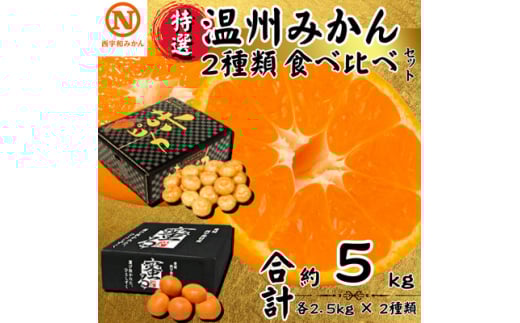 特選温州みかん2種類食べ比べ(味ピカ・蜜る)各2.5kg×2箱＜E08-94＞【1604565】 2053101 - 愛媛県八幡浜市
