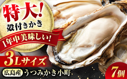 貝類 【冷蔵】 うつみかき小町殻付き 3Lサイズ×7個 広島県福山市/カネト海苔水産株式会社 牡蠣 かき 殻付 焼き牡蠣 うつみかき小町 かき小町 [BAAQ006] 401019 - 広島県福山市