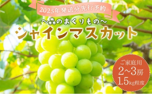 2025年発送分 先行予約＜～森のおくりもの～＞朝採り直送！シャインマスカット 1.5kg程度2～3房（ご家庭用）【025-a030】