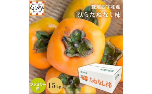 《秋の味覚 種なしで食べやすい》 ひらたねなし柿 15kg (7.5kg×2箱)＜H20-40＞【1594098】 2053108 - 愛媛県八幡浜市