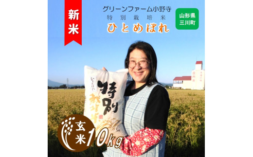 【令和7年産・玄米】グリーンファーム小野寺の特別栽培米ひとめぼれ10kg　※10月中旬頃から順次配送予定