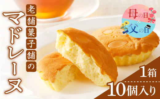【発送時期が選べる】老舗菓子舗のマドレーヌ計10個 焼き菓子 スイーツ 詰め合わせ 洋菓子_T035-0021