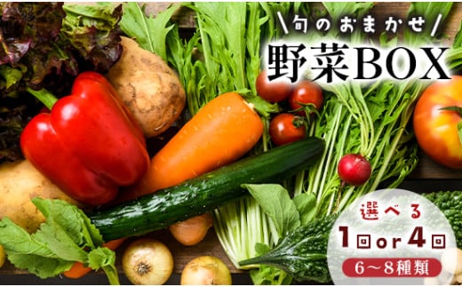 京都 舞鶴 季節の野菜BOX 詰め合せ セット 6〜8種類 選べる回数 1回 / 4回(定期便) : 季節の野菜 旬の野菜 旬野菜 新鮮 京野菜 食品 冷蔵 八百屋 厳選 産地直送 やさい ベジタブル ボックス 野菜セット