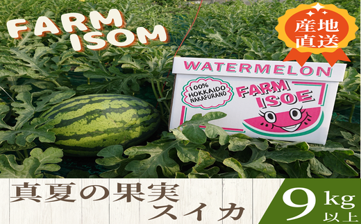 真夏の果実(スイカ) 327877 - 北海道中富良野町