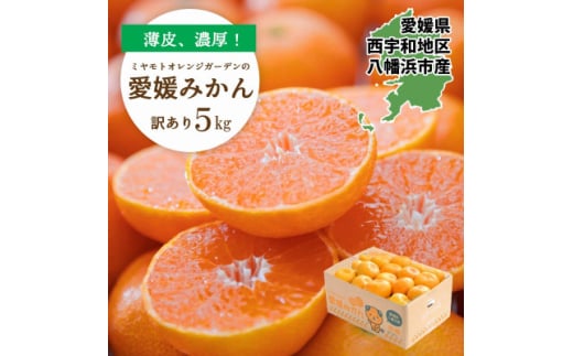 ＜2025年発送＞何個でも食べられる!八幡浜産 愛媛みかん5kg＜訳あり＞＜C25-176＞【1606088】 2053102 - 愛媛県八幡浜市