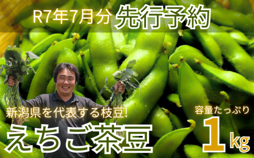【先行予約】新発田市産枝豆 えちご茶豆 1kg 早期予約 予約 来夏 茶豆 枝豆 えだまめ ちゃまめ 新潟の枝豆 新発田の枝豆 新潟 新発田 1kg 数量限定 genzou001 2012679 - 新潟県新発田市