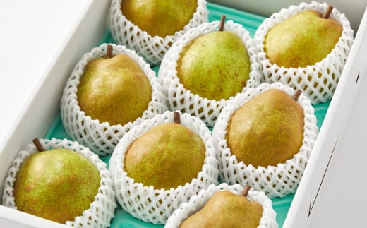 西洋梨(ラ・フランス)3kg 0052-2507 336079 - 山形県上山市