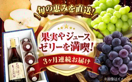 【びんご圏域連携】【全3回定期便 先行予約】 フルーツ 定期便 フルーツ定期便 （沼隈ぶどう・世羅なし・竹原キャンベル） 広島県福山市/一般社団法人世羅町観光協会 フルーツ 定期便 ぶどう 葡萄 なし 梨 ジュース ゼリー 果物 くだもの 1533377 - 広島県福山市