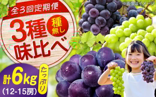 贅沢3種! ぶどう ブドウ 葡萄 ピオーネ マスカット ニューベリーA 2kg