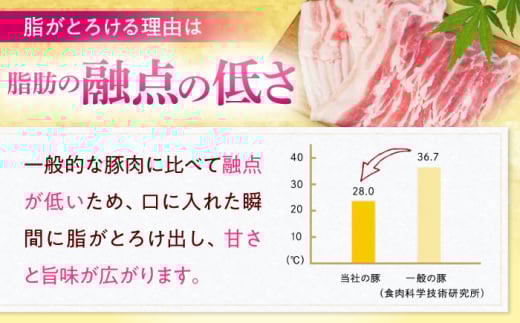 アイテムID:426508の画像3枚目
