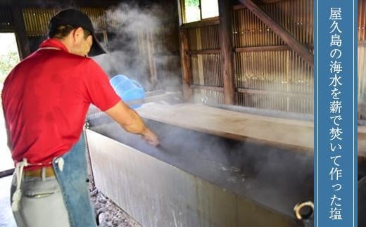 鹿児島県屋久島町のふるさと納税 【月間10個限定】屋久島永田の塩 えん 150g 5個セット