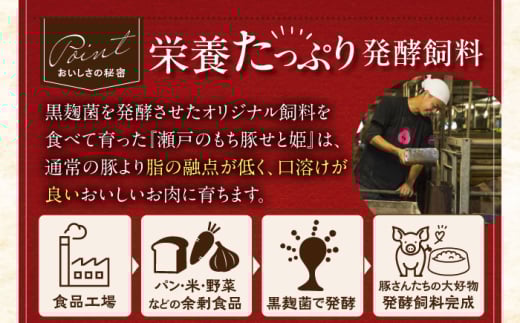 肉 豚肉 ロース ポークステーキ ステーキ セット 贈答 ギフト プレゼント