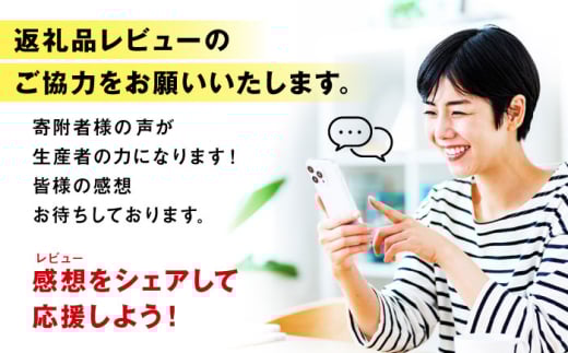安心安全で機能性抜群！デジタルはんだこて 工具 はんだごて DIY 溶接 熱工具