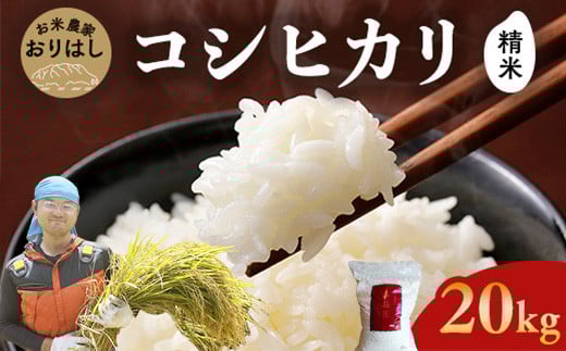先行予約】豊水(ほうすい)4kg 梨 ナシ なし 新鮮 産地直送 先行予約】豊水(ほうすい)4kg 梨 ナシ なし 新鮮 産地直送