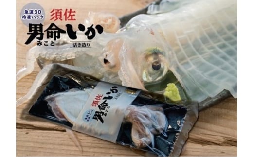 自宅で透明感を再現!須佐男命いかの姿造り(刺身)特殊冷却「3D冷凍」パック 1個 |HG000427