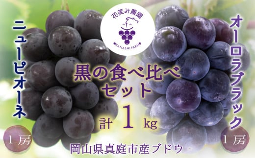 hana32.岡山　花笑み農園の『ニューピオーネ&オーロラブラック』1kg(2房) 695284 - 岡山県真庭市