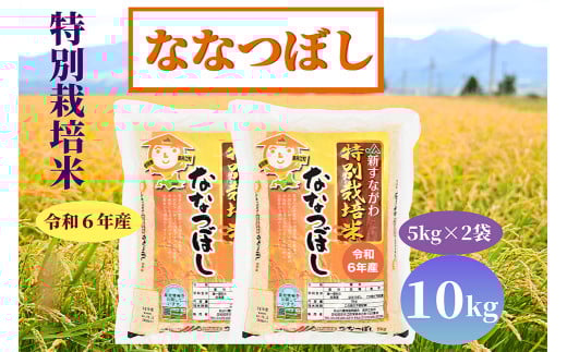 特別栽培米　ななつぼし　10kg 2101451 - 北海道奈井江町