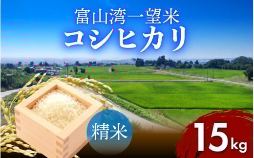 【先行予約】新米 富山湾一望米　コシヒカリ 精米 【容量15kg】【2025年10月より順次発送】農家直送 米 定期便 選べる 精米 富山県滑川産お米 産地直送 袋 ブランド米 お米 白米 こしひかり