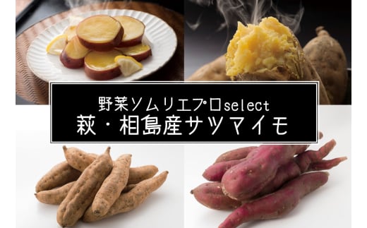 【352047001025】サツマイモ 4kg 萩・相島産 野菜ソムリエ プロselect 芋 お芋 野菜 2057621 - 山口県萩市
