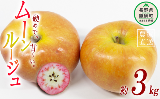 りんご ムーンルージュ 3kg やまじゅうファーム 沖縄県への配送不可 2025年10月下旬頃から2025年11月上旬頃まで順次発送予定 令和7年度収穫分 信州の環境にやさしい農産物 減農薬栽培 長野県 飯綱町 [1026] 268367 - 長野県飯綱町