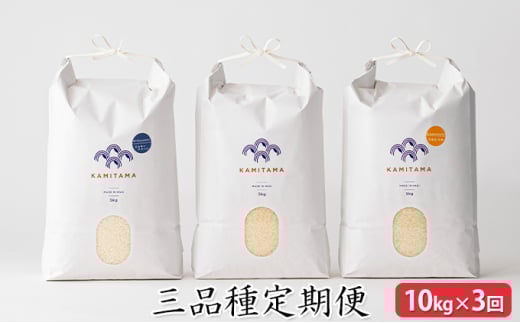 定期便 三品種 米 令和7年 10kg×3回 コメ こめ 萩産 KAMITAMA　｜HG0T0392 2057707 - 山口県萩市