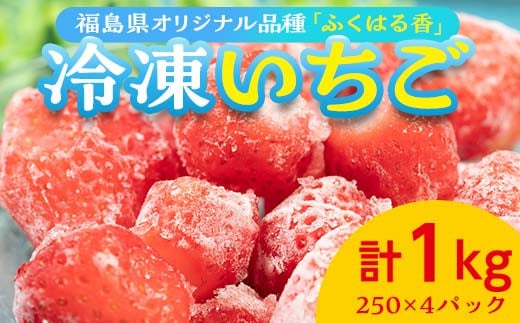 冷凍いちご 福島県オリジナル品種 「ふくはる香」 1kg（250g×4） いちご イチゴ 苺 福島県 鏡石町 鏡石農遊園 F6Q-299