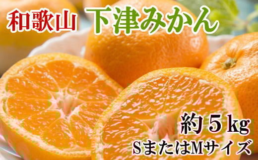【産直・秀品】和歌山下津みかん約5kg(SサイズまたはMサイズのいずれかをお届け)  ※2025年11月中旬～2026年1月中旬頃発送予定 / 果物 くだもの フルーツ 蜜柑 みかん ミカン オレンジ 和歌山 【tec870A】 1238524 - 和歌山県紀美野町
