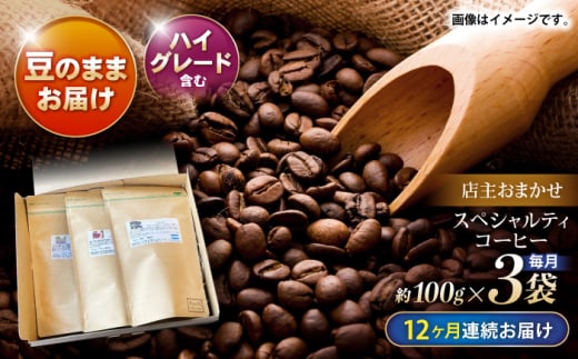 【12回定期便】自家焙煎ハイグレードコーヒーを含むおまかせセット(豆のまま) / ハイグレードコーヒー ブレンド コーヒー 豆 / 諫早市 / R and R coffee labo [AHCJ048] 308234 - 長崎県諫早市