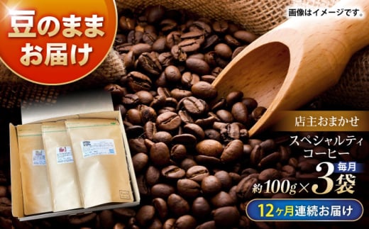 【12回定期便】自家焙煎スペシャルティコーヒーおまかせセット(豆のまま) / スペシャルティコーヒー ブレンド コーヒー / 諫早市 / R and R coffee labo [AHCJ026] 308203 - 長崎県諫早市