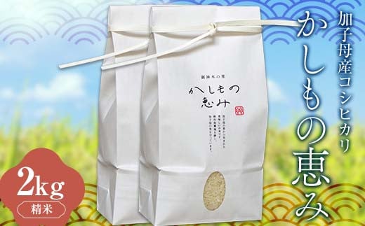 加子母産コシヒカリ「かしもの恵み」1kg×2 あなたが選ぶ日本一おいしい米コンテスト受賞米 米 精米 コシヒカリ F4N-1798 2088657 - 岐阜県中津川市