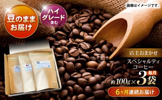【6回定期便】自家焙煎ハイグレードコーヒーを含むおまかせセット(豆のまま) / ハイグレードコーヒー ブレンド コーヒー 豆 / 諫早市 / R and R coffee labo [AHCJ042] 308240 - 長崎県諫早市
