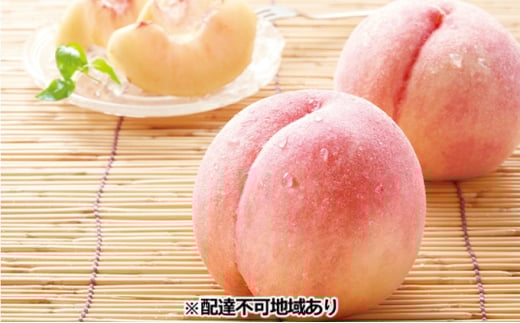 小川桃(萩産)大玉5〜6玉[配達不可:北海道・沖縄・離島] |HG000529