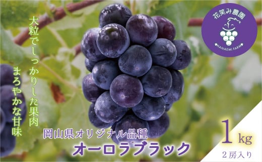 hana30.岡山　花笑み農園の『オーロラブラック』1kg（2房） 687390 - 岡山県真庭市