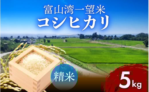 【先行予約】新米 富山湾一望米　コシヒカリ 精米 【容量5kg】【2025年10月より順次発送】農家直送 米 定期便 選べる 精米 富山県滑川産お米 産地直送 袋 ブランド米 お米 白米 こしひかり