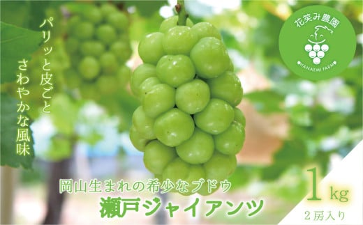 hana40.岡山　花笑み農園の『瀬戸ジャイアンツ』１ｋg（２房） 773731 - 岡山県真庭市