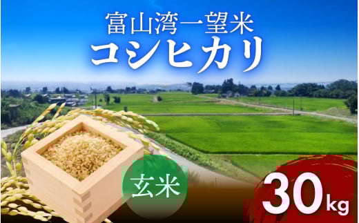 【先行予約】新米 富山湾一望米　コシヒカリ 玄米 【容量30kg】【2025年10月より順次発送】 農家直送 米 定期便 選べる 玄米 富山県滑川産お米 産地直送 袋 ブランド米 お米 白米 こしひかり
