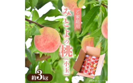 M02-0127_【先行予約】【配送不可地域：北海道・沖縄県・離島】みとよの桃　(小玉)　約3kg   果物・野菜 もも 桃 モモ 265653 - 香川県三豊市